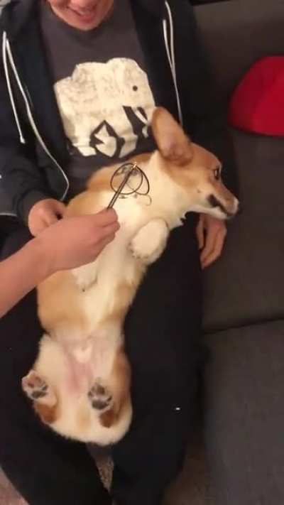 &ldquo;It wasn&rsquo;t me&rdquo;
