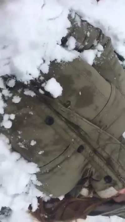 How snow feels to a Mississippian