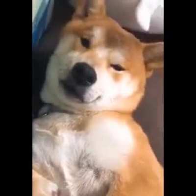 wholesome wink