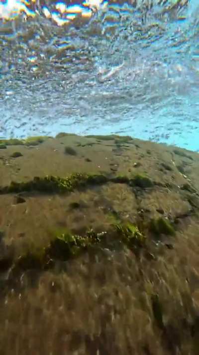 Under and Over -- Exploring Both Sides of Nature&rsquo;s Wonder