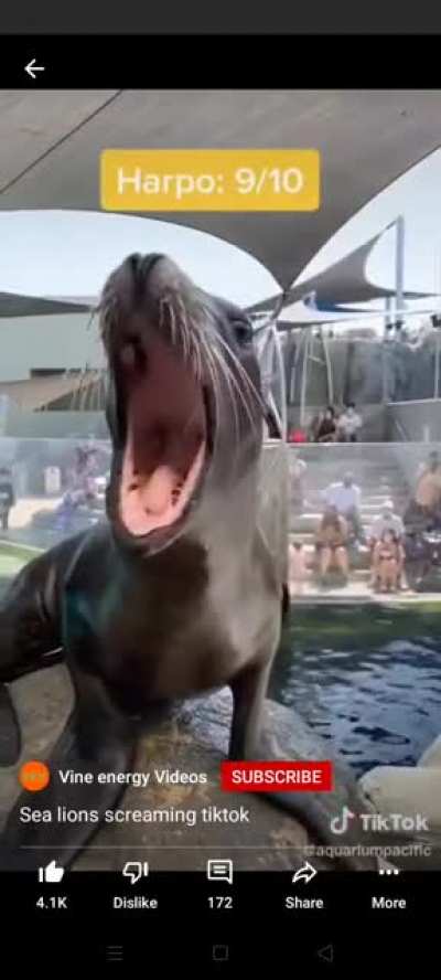 UAAAGGHHHHH !!
