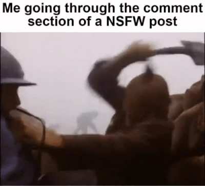 *BONK*