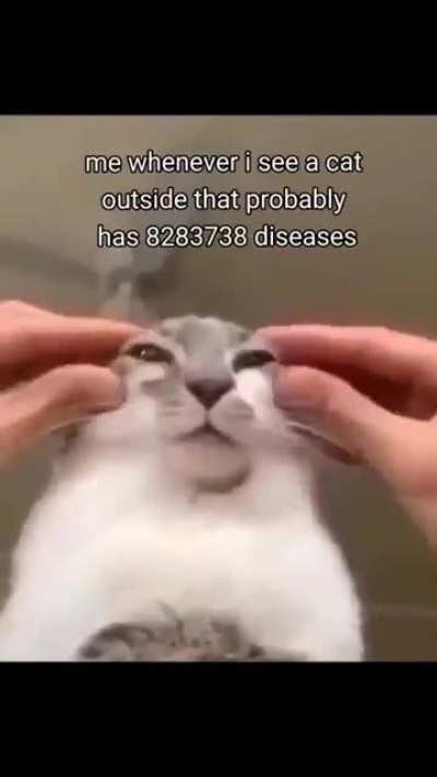 Literally me