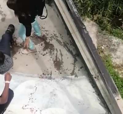 Tourist is attacked by crocodile after &lsquo;mistaking it for a plastic model and posing for selfie&rsquo;