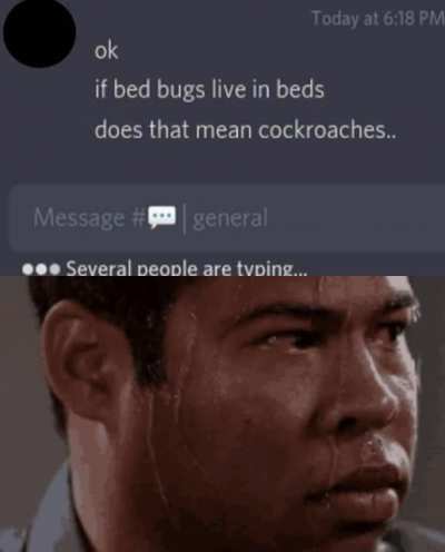 *looks at cock* Hush ! Everything is Fine