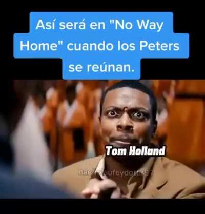 yo soy tu
