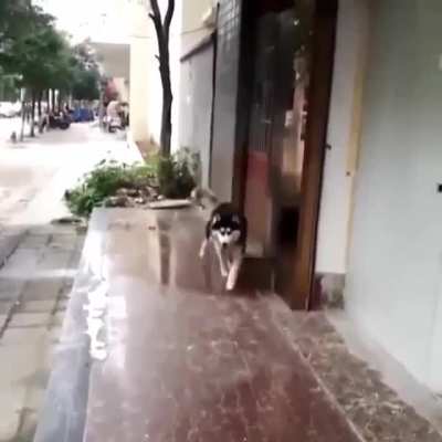Somebody start the chase music