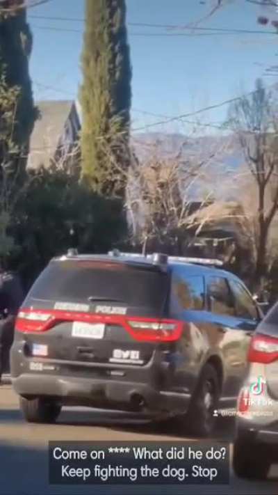 A bystander filmed this violent incident between a male suspect and the Redding Police Department. They still don&rsquo;t even have body cameras.