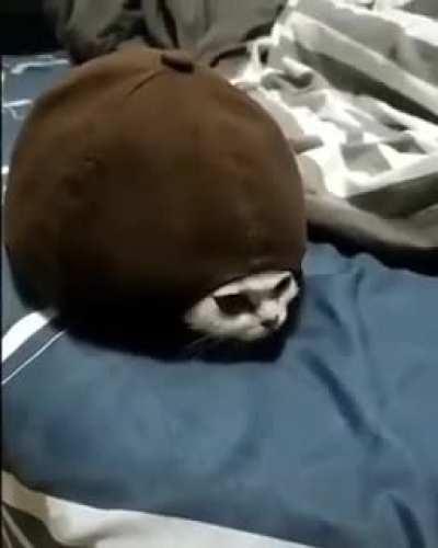 Unciobl, The invisible.