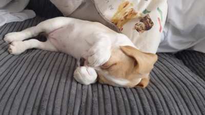 Leia getting sleepy
