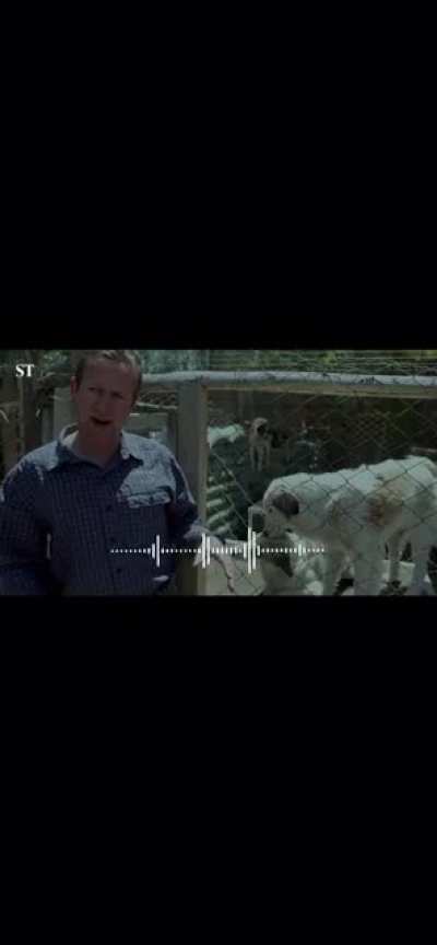 Former British Marine freaks out because he can't get his animals out of Kabul. Aggressive voicemail message to a government official