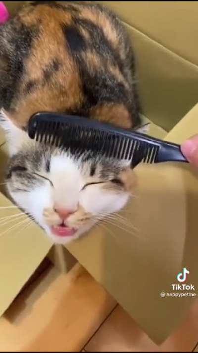 Good communication with your hairdresser is important