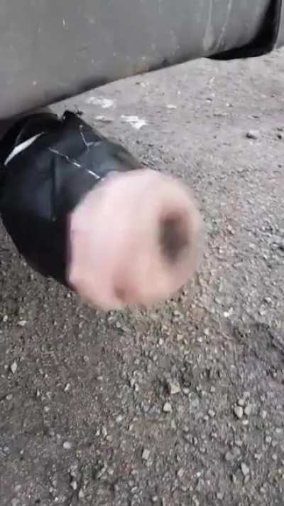 Putting fleshlight on an exhaust