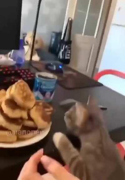 Another hungry ah