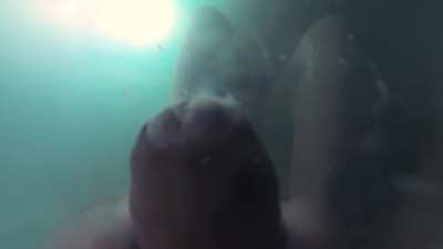 Underwater footjob cumshot