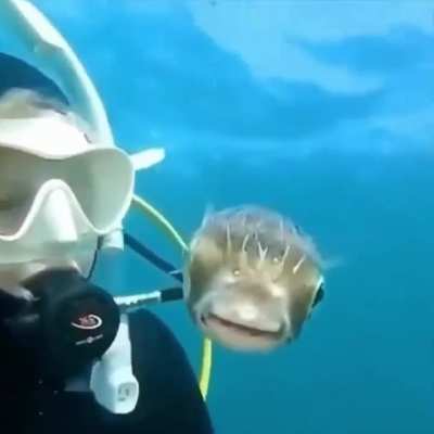 Fish: &acirc;Are we on tv?&acirc; 