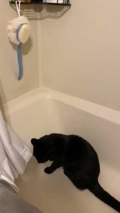 I heard banging coming from the bathroom&hellip;