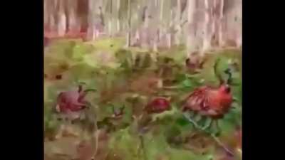 cursed_forest_trip
