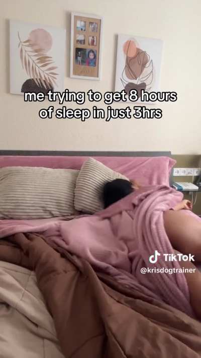 @krisdogtrainer why it's so hard to fall asleep