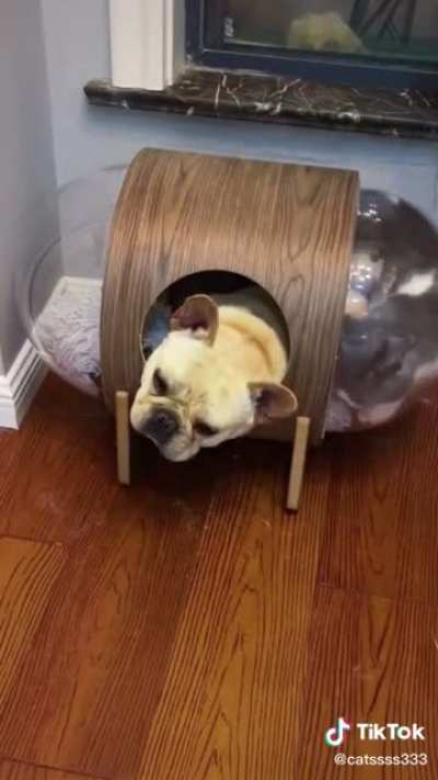 If you won&rsquo;t get out of my bubble, I&rsquo;ll make you get out