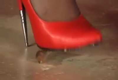 Clarissa red stiletto pumps vs slugs