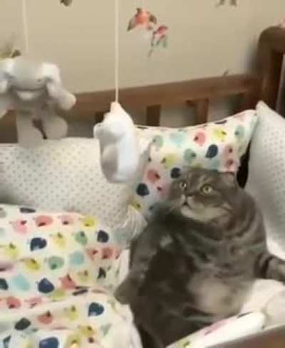 "How much nip did I take?"