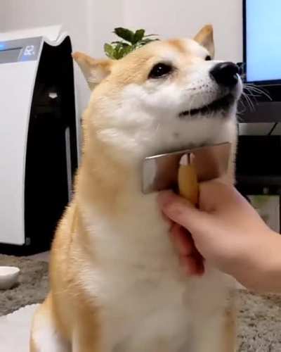 😍😍