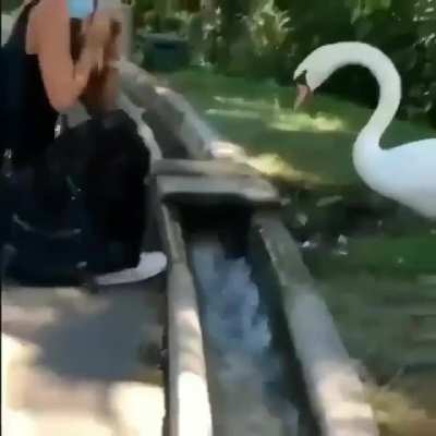 maskeyi tak seni s&uuml;rt&uuml;k!!