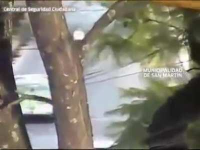 Tres chorros roban a un pibe y se hacen pomada contra un patrullero