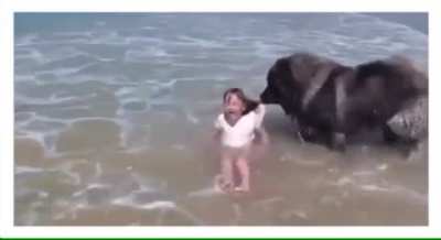 Dog: &ldquo;Ok... that&rsquo;s enough for now.&rdquo;