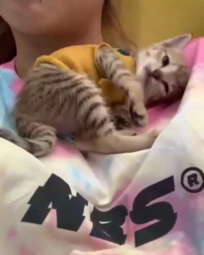 Perfect spot