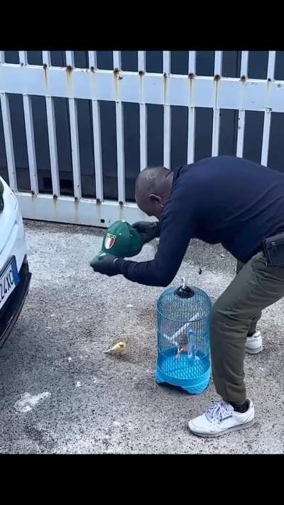 Maybe maybe maybe