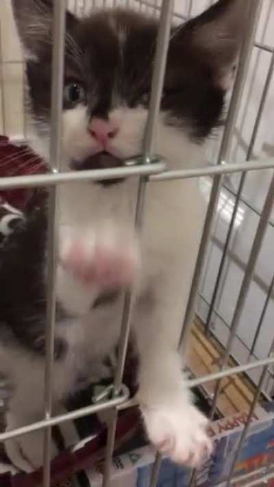 He demands freedom