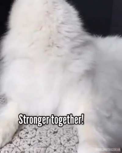 Stronger Together