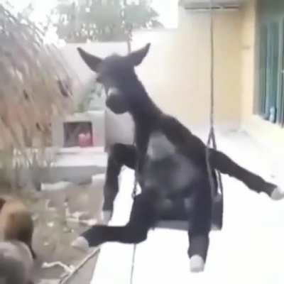 Cursed_Swing
