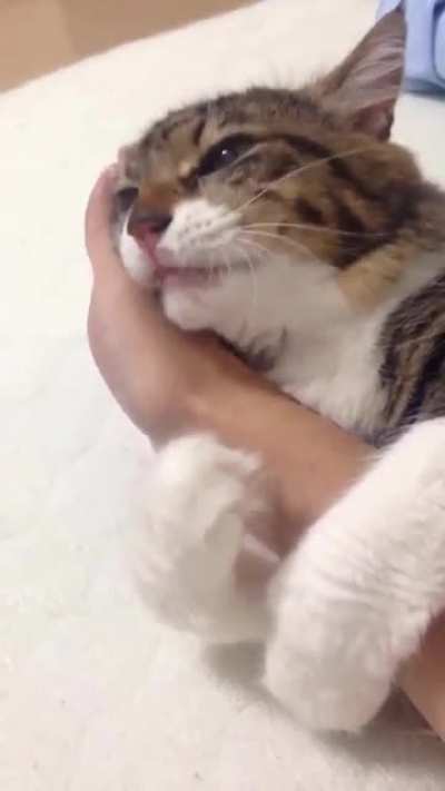 She won&rsquo;t let go and it&rsquo;s cute