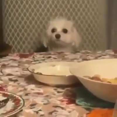 Aeeeeee