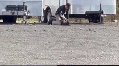 Vacaville police officer caught on video beating his K-9 partner