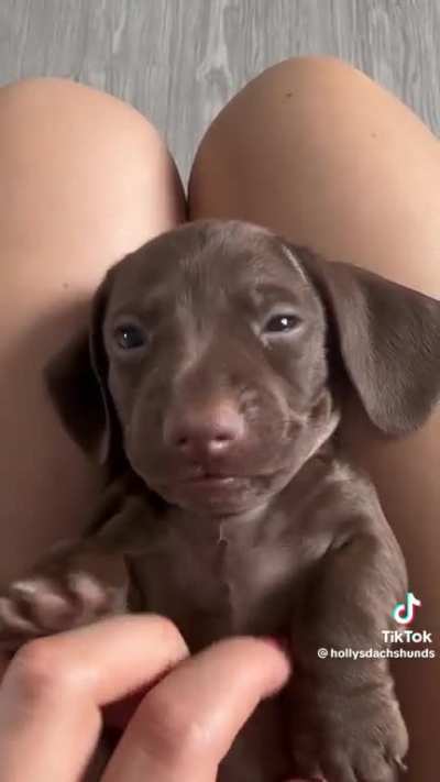Lovely choco