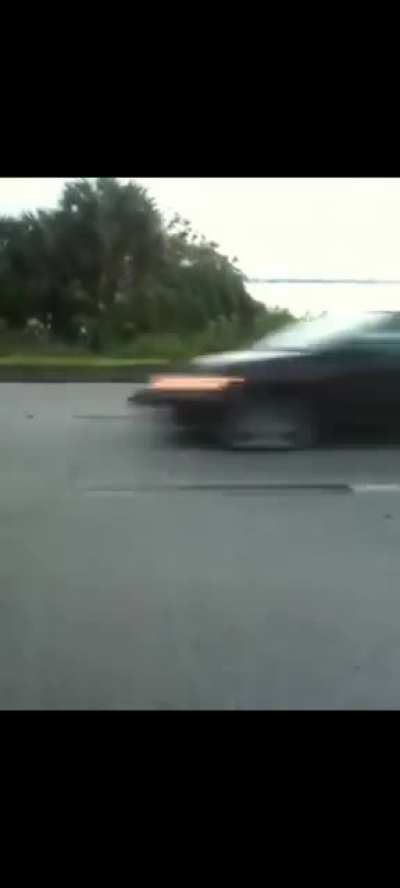 Idiot doesn't see gator on road.