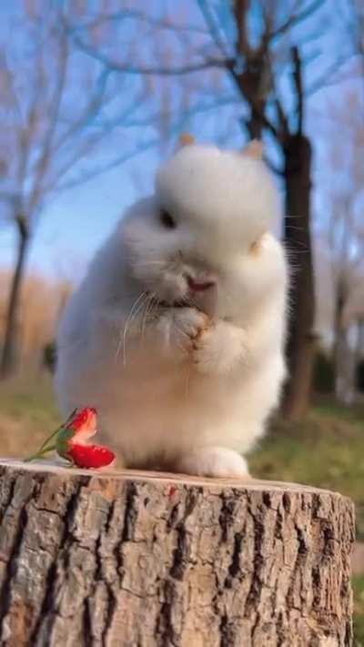 cuteee&eth;&yen;&ordm;&acirc;&yen;&iuml;&cedil;&acirc;&yen;&iuml;&cedil;&acirc;&yen;&iuml;&cedil;&eth;&deg;&eth;&deg;&eth;