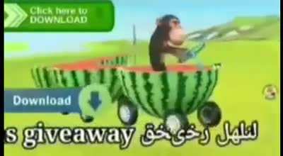 MONKE RIDING CIDEO DOWNLOAD!!!!!! WATERMELLON TRAN!!!!!!111222222!!!!!! FREE CAMELA GIF111122222!!!!!!!