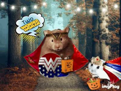 Trick or Treating Hams 🎃Halloween🎃my and my sisters hams