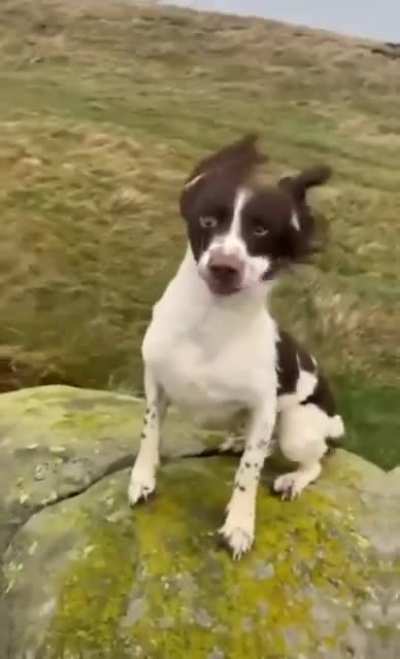 It&rsquo;s hecking windy