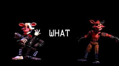 Crab voters to armadillo voters after it won instead of the crab: