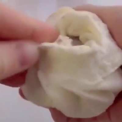 hamster