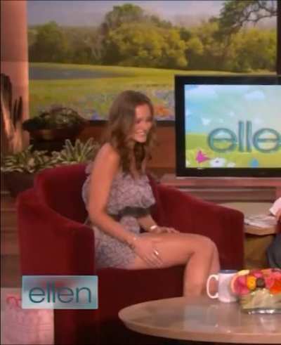 Leighton Meester
