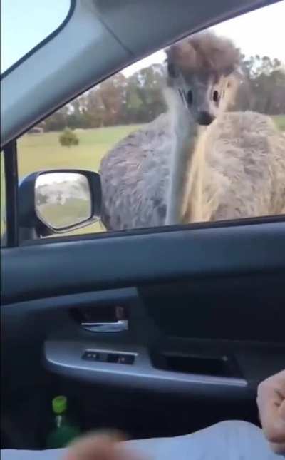 He wants some too