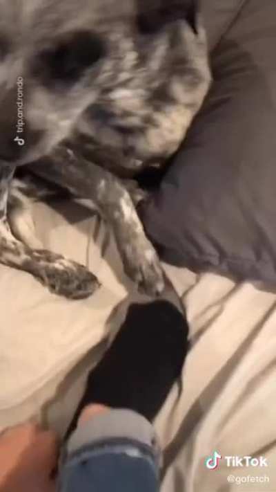 Get the tootsies
