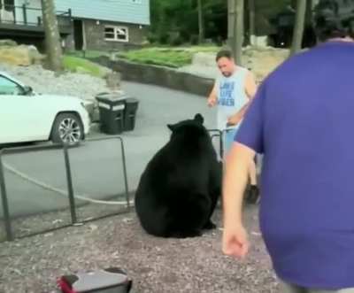 Man tells a bear he&rsquo;s not invited and has to leave&hellip;